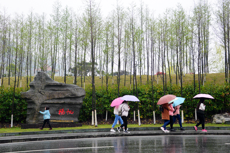 2017汉师春雨